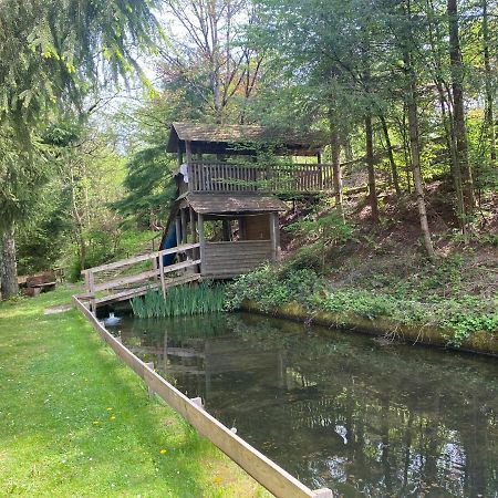 Hotel-Restaurant Theis-Muehle Biersdorf Zewnętrze zdjęcie