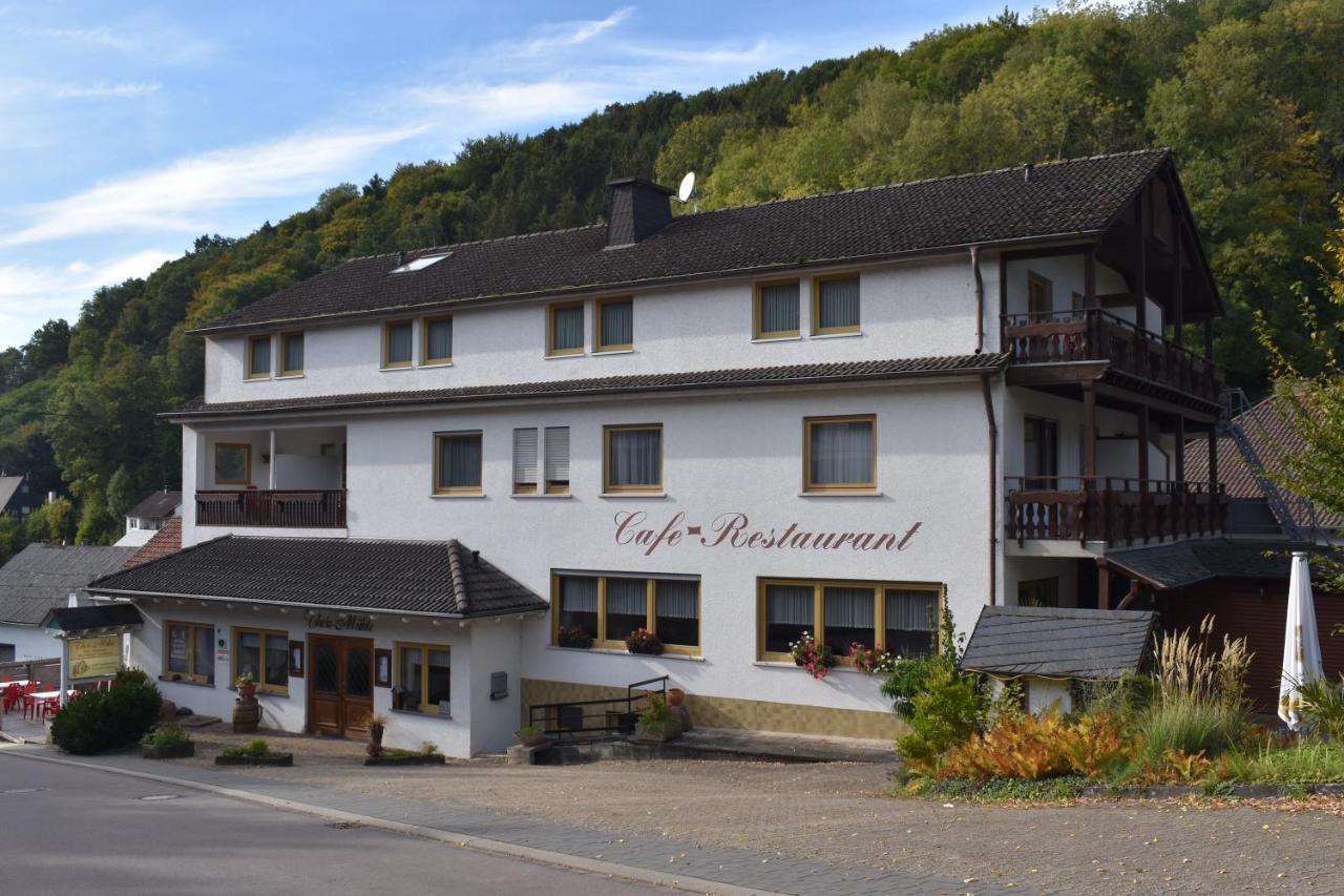 Hotel-Restaurant Theis-Muehle Biersdorf Zewnętrze zdjęcie