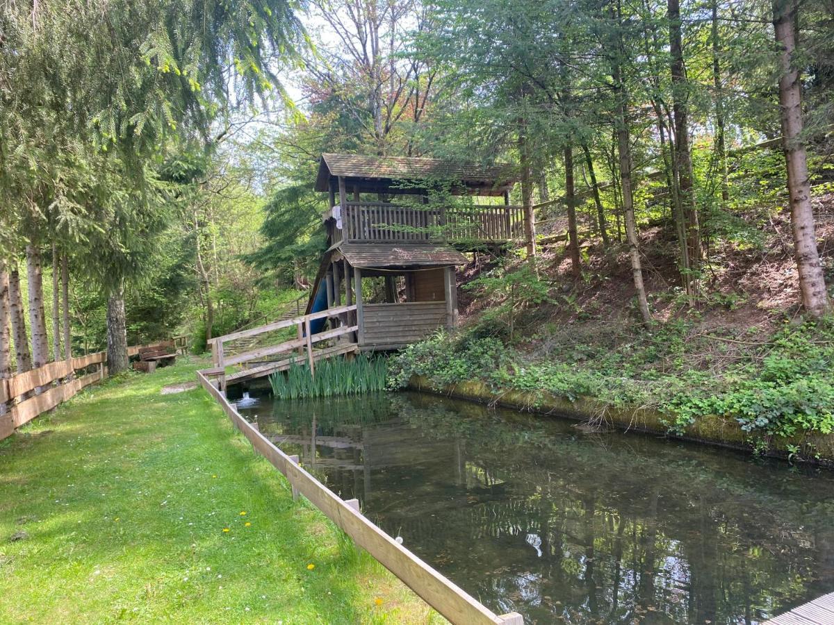 Hotel-Restaurant Theis-Muehle Biersdorf Zewnętrze zdjęcie